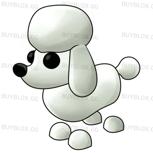 NFR Poodle