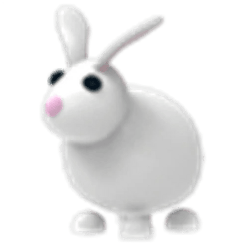 NFR Rabbit