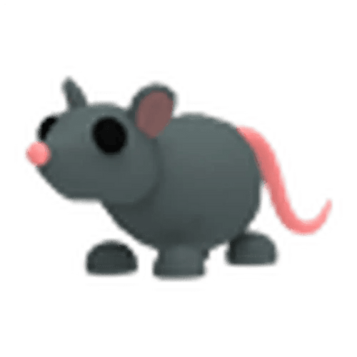 NFR Rat