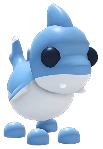 NFR Shark Puppy