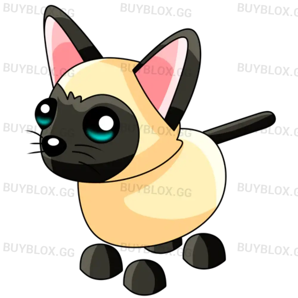 NFR Siamese Cat
