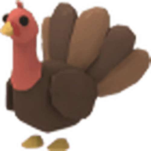 NFR Turkey