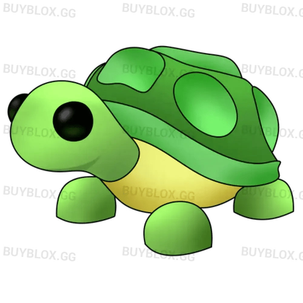 NFR Turtle - Adopt Me