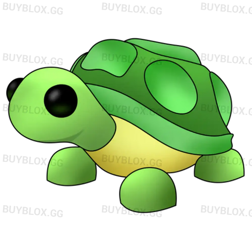 NFR Turtle