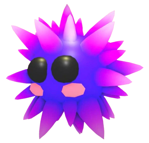 NFR Urchin