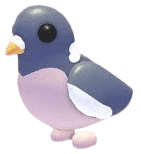 NFR Wood Pigeon
