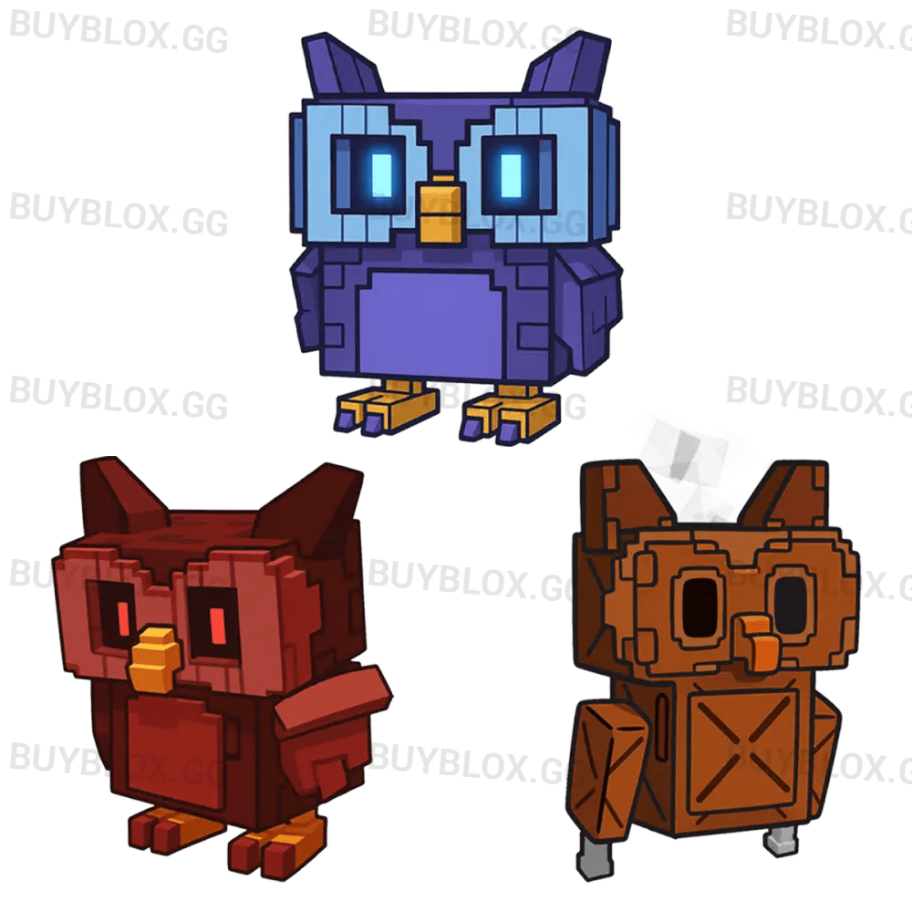 Owl Bundle
