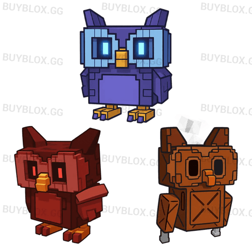 Owl Bundle