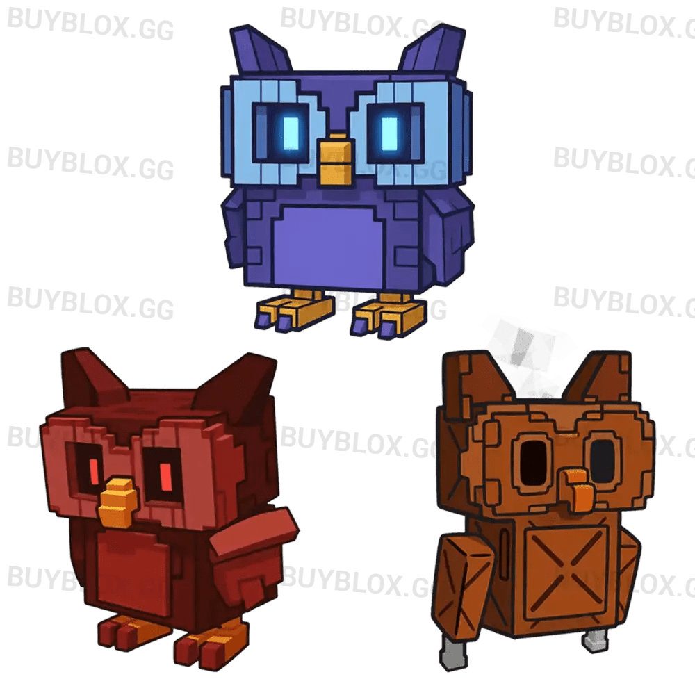 Owl Bundle - Grow a Garden