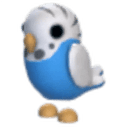 Parakeet