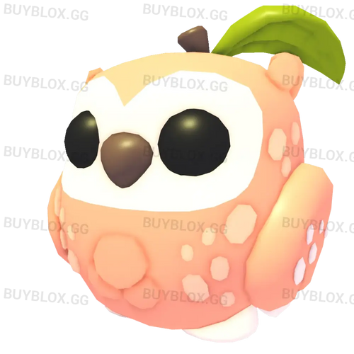 Peach Owl