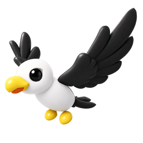Pilot Gull