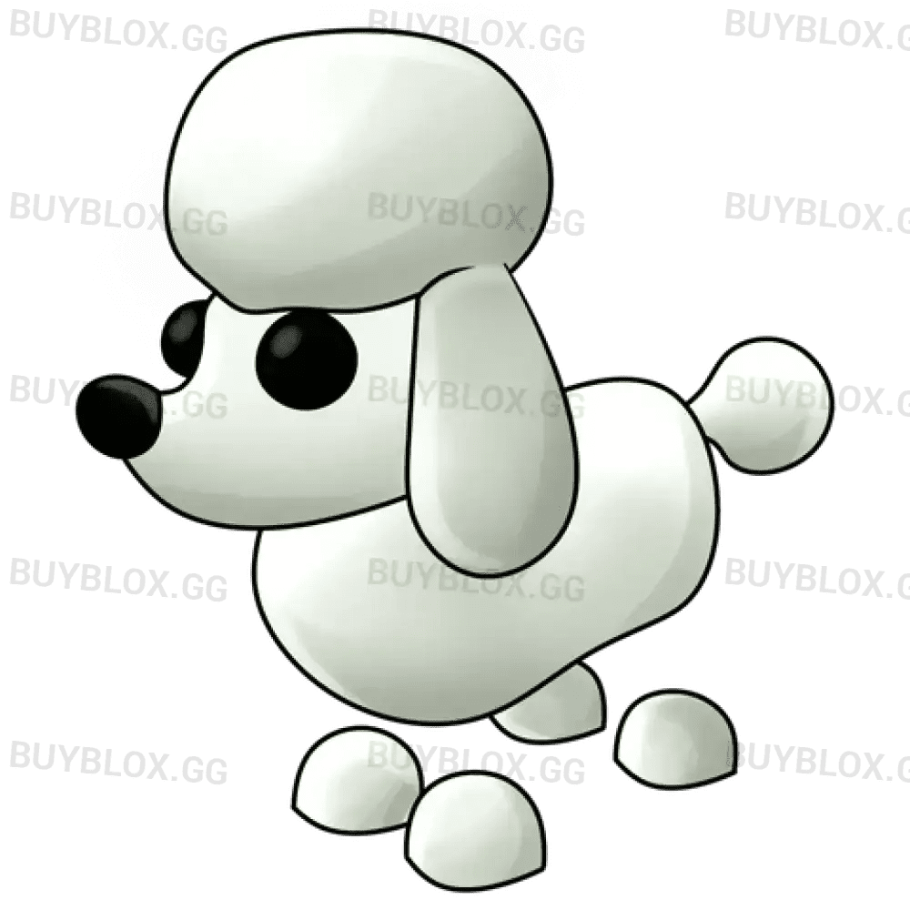 Poodle - Adopt Me
