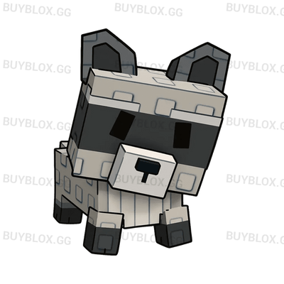 Raccoon