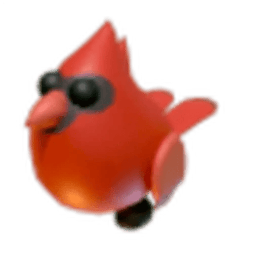 Red Cardinal