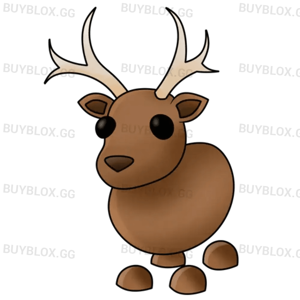 Reindeer