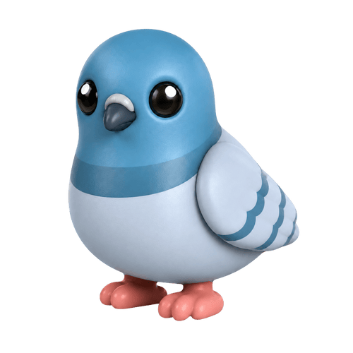 Rock Pigeon