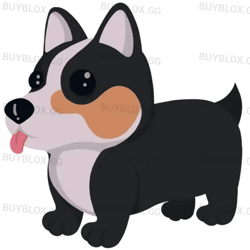 Royal Corgi