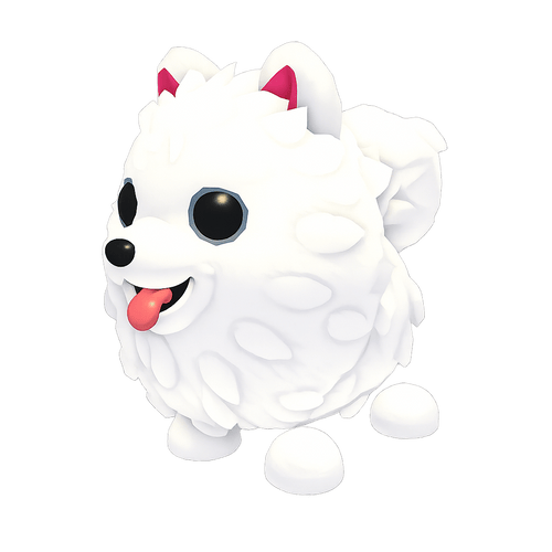 Samoyed