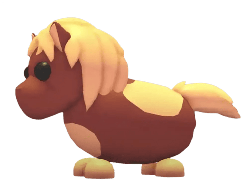 Shetland Pony Dark Brown