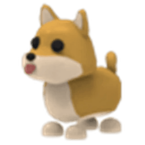 Shiba Inu