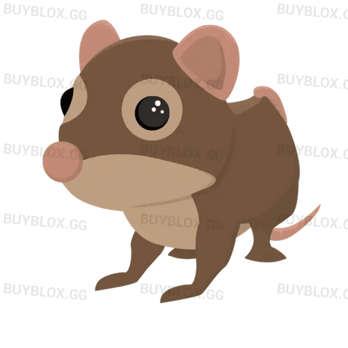 Shrew