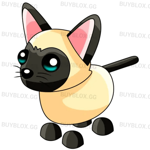 Siamese Cat