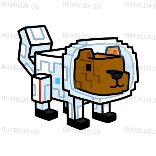 Space Squirrel