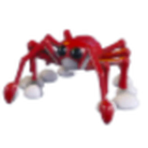 Spider Crab