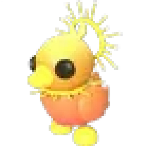 Sunrise Duckling