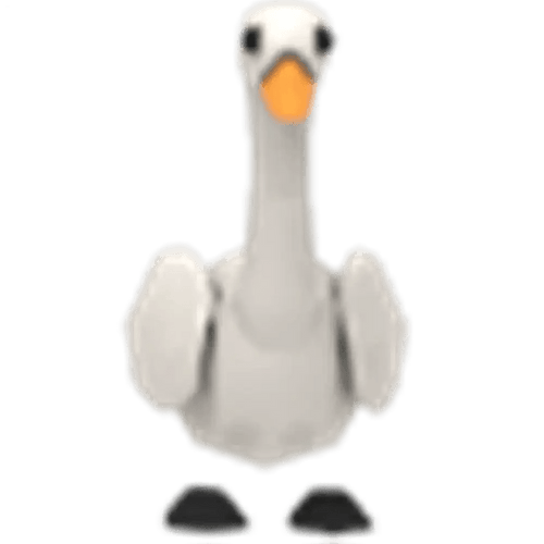 Swan
