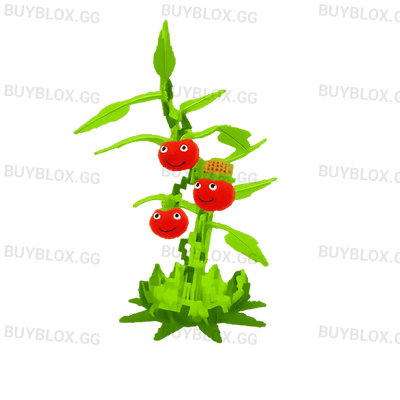 Tomatrio
