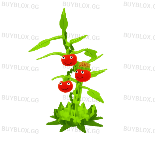 Tomatrio