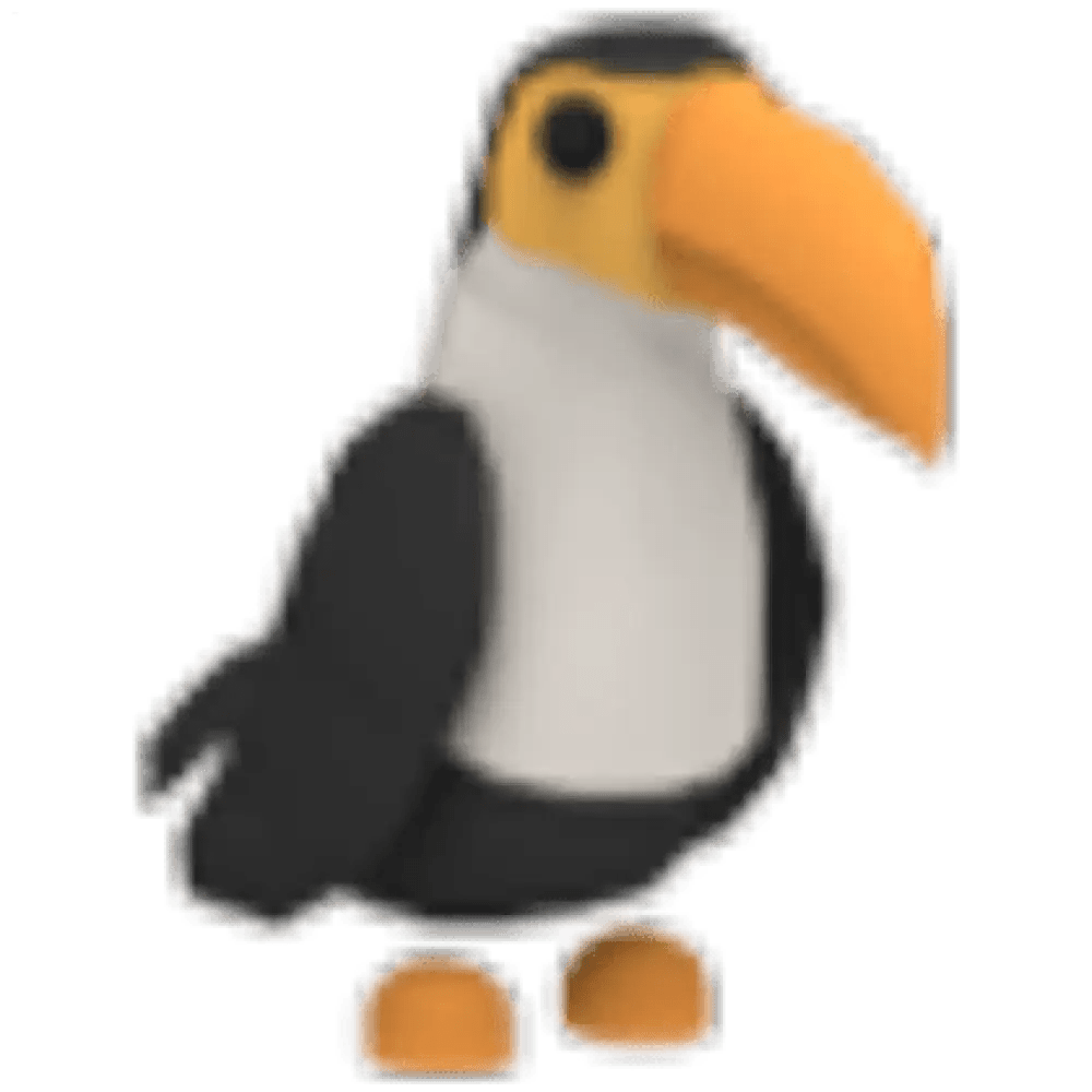 Toucan - Adopt Me