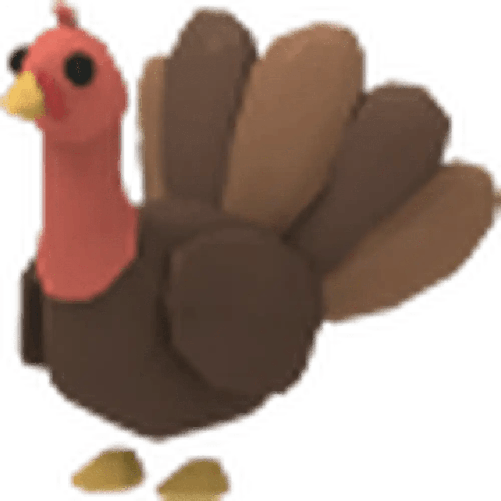 Turkey - Adopt Me