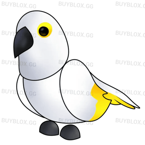 White Amazon
